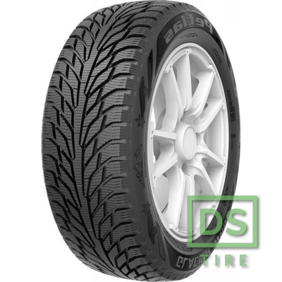 Petlas Glacier W661 205/65 R15 94T