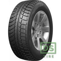 Doublestar WINTERKING DW07 195/70 R14 91T