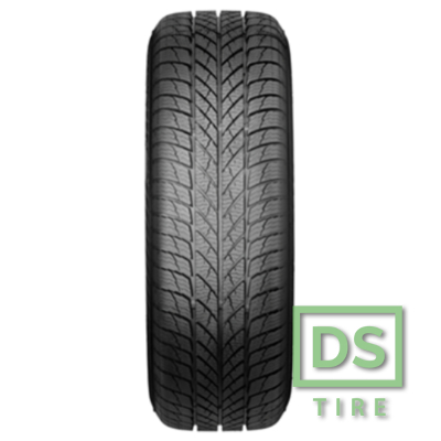 Paxaro INVERNO 225/45 R18 95V XL